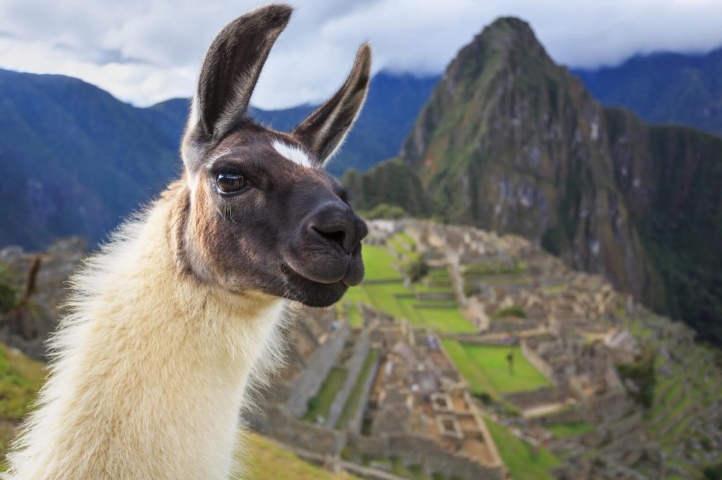 Machu Picchu, Peru, UNESCO World Heritage Site. One of the New Seven Wonders of the World