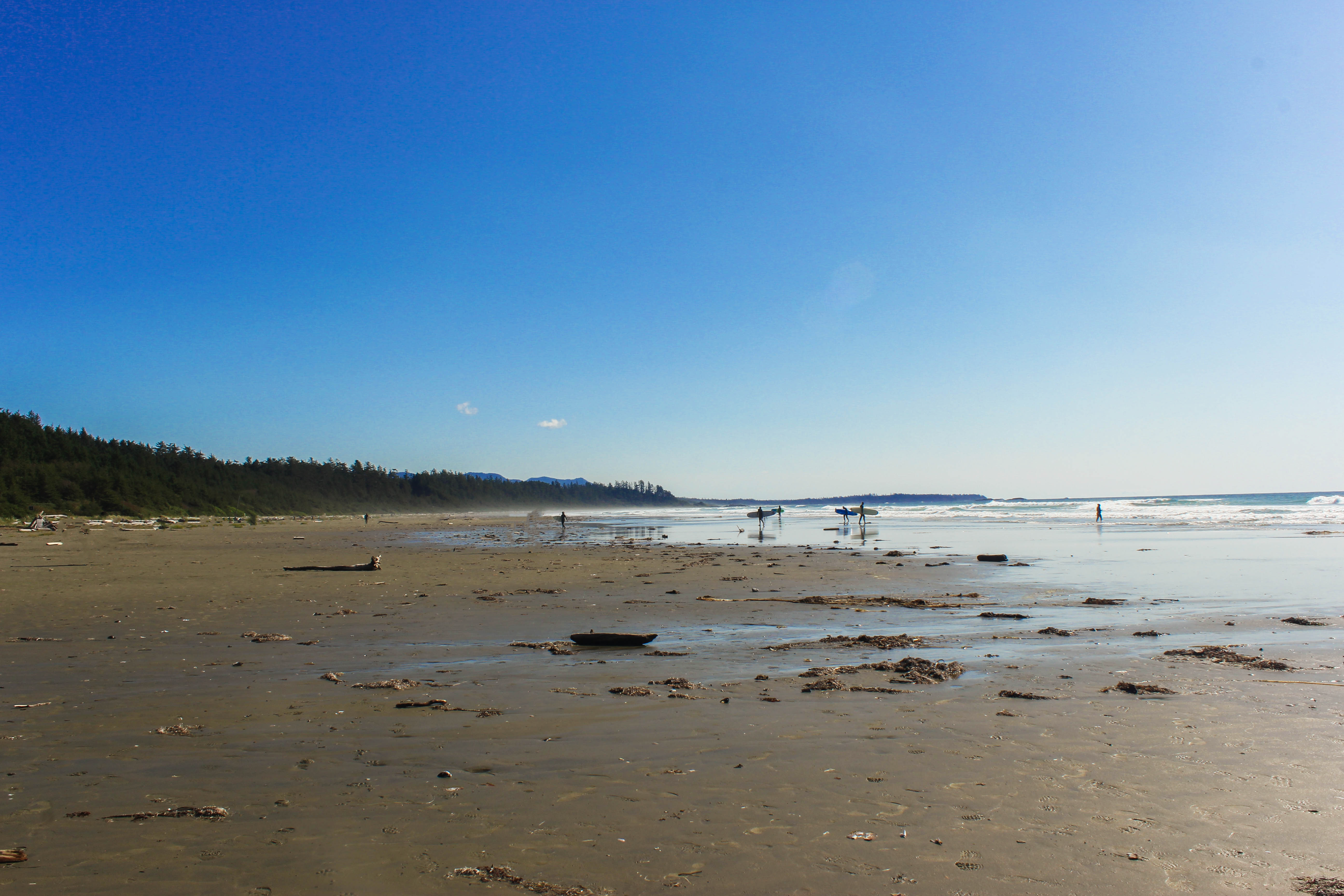 The Ultimate Guide To Tofino - Loving Life With Cass