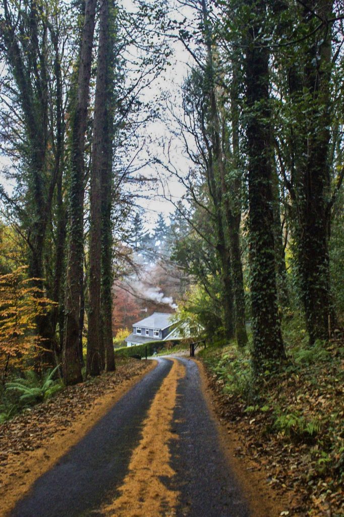 Hike in beautiful Northern Ireland.