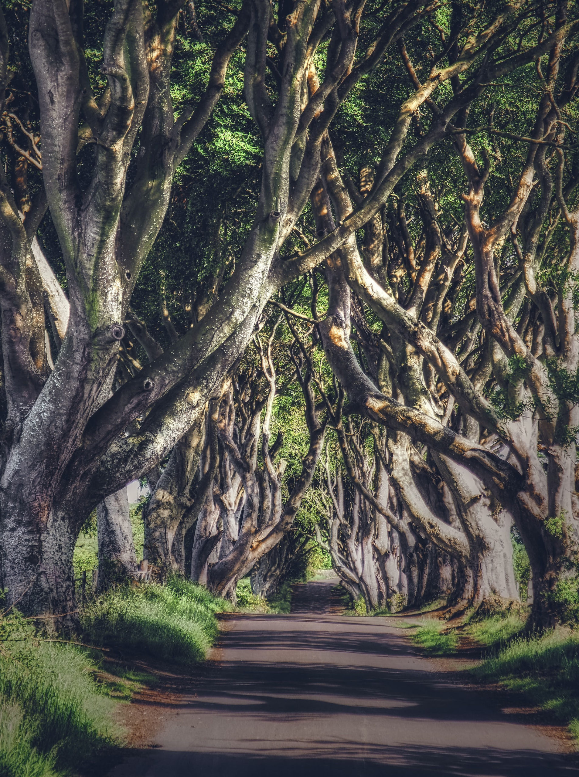 The Best Beginners Guide to Northern Ireland