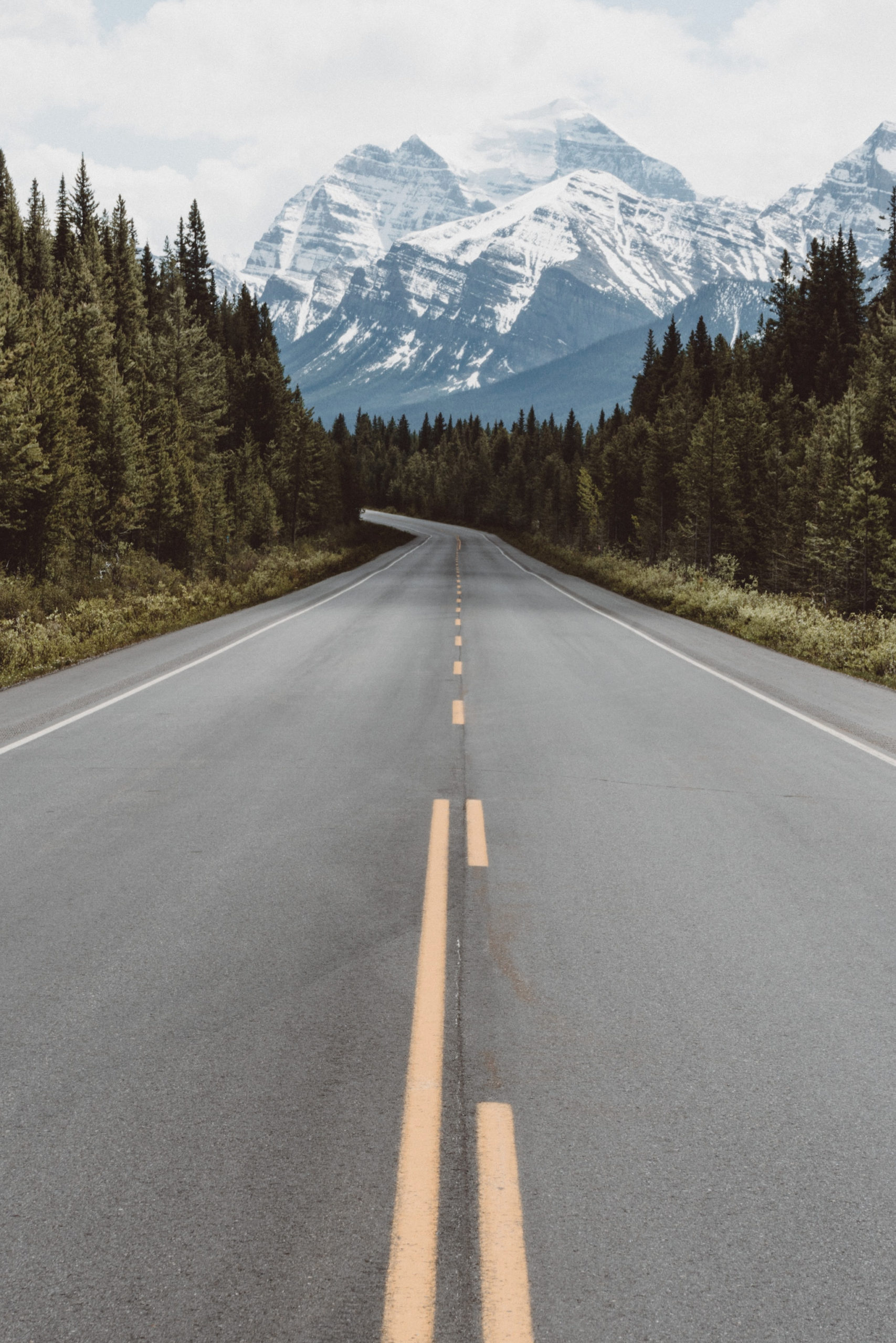 How To Have The Best Road Trip