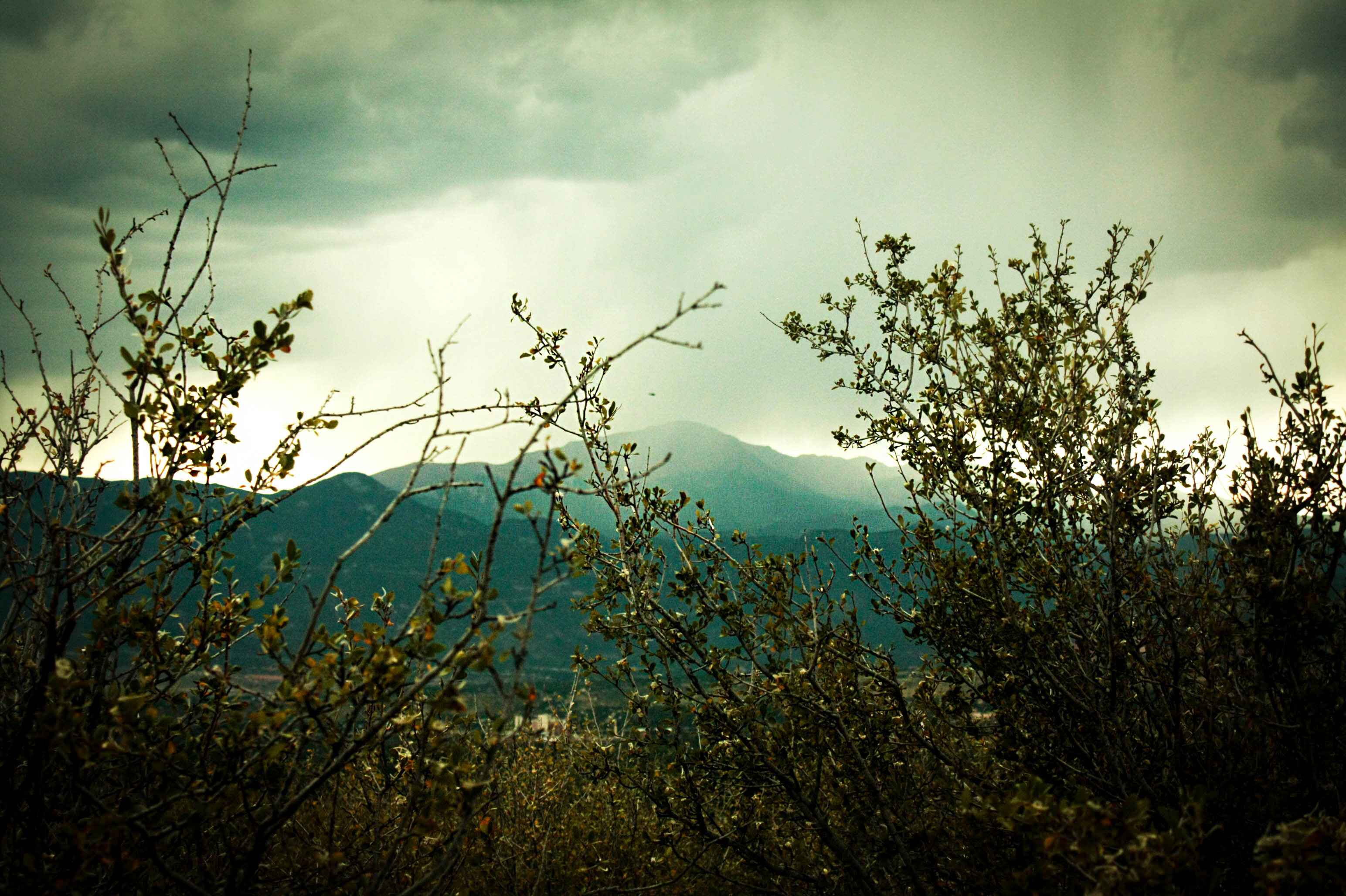 Hiking in Palmer Park, Colorado Springs