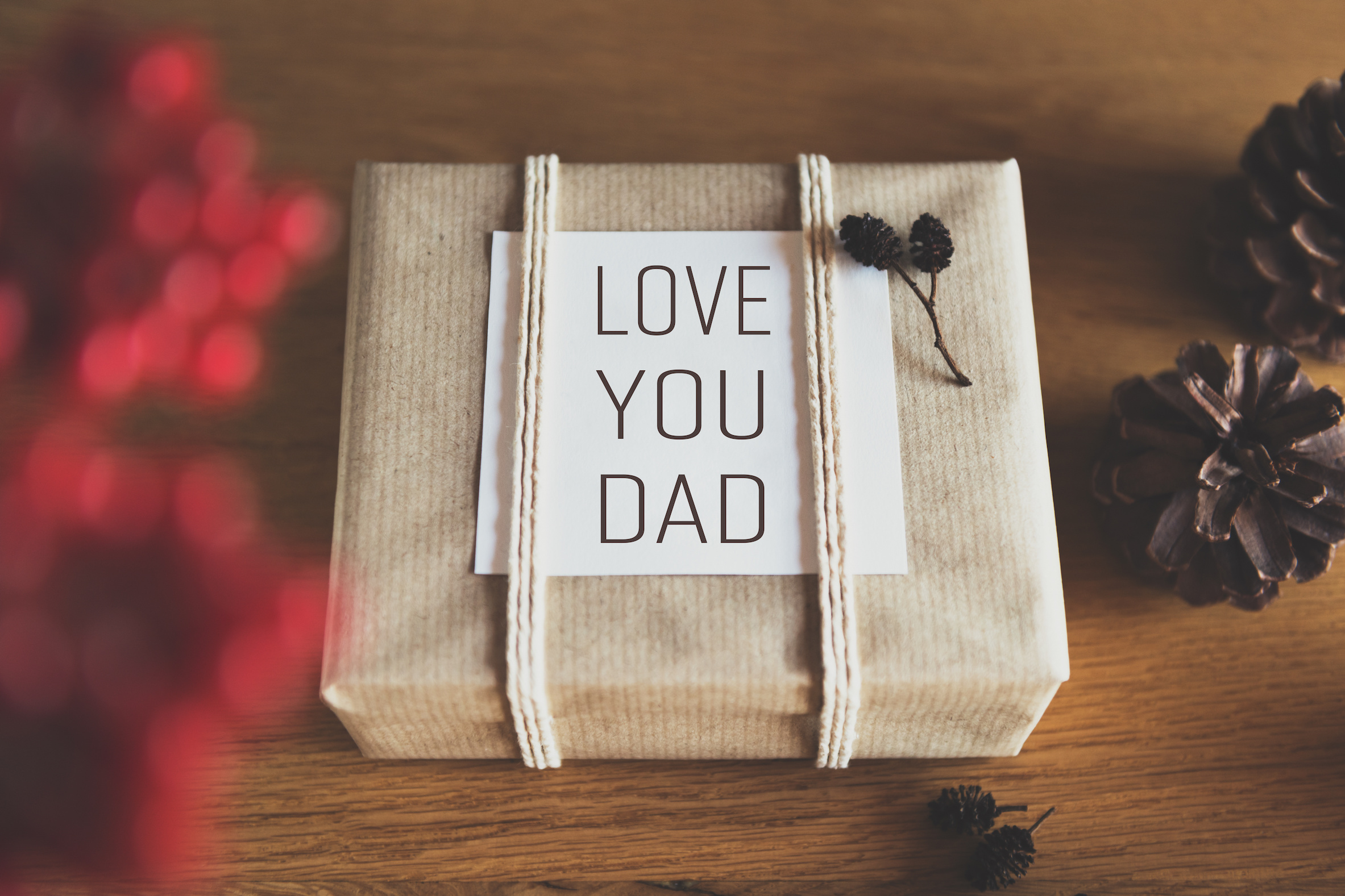 Perfect Gifts For Travel Loving Fathers