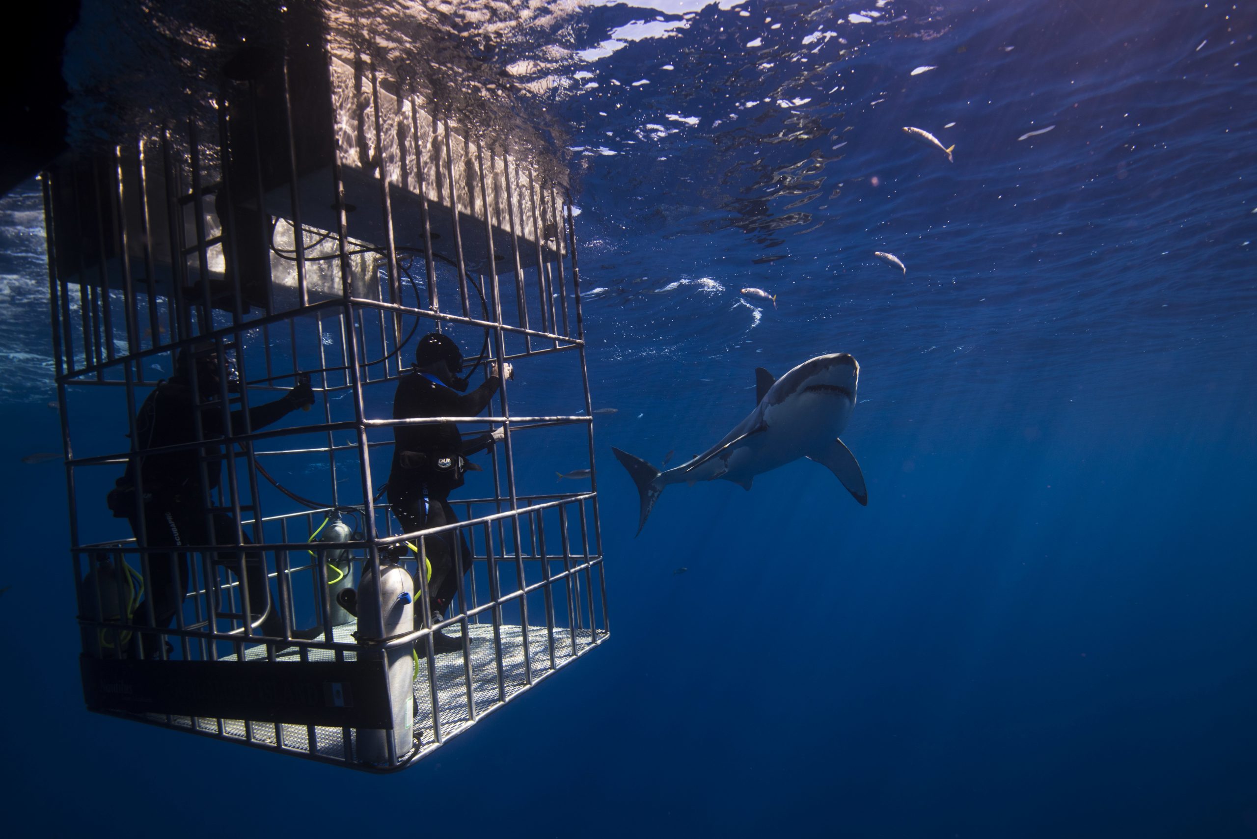 The Ultimate Adventure Bucket List For Post Covid Travel